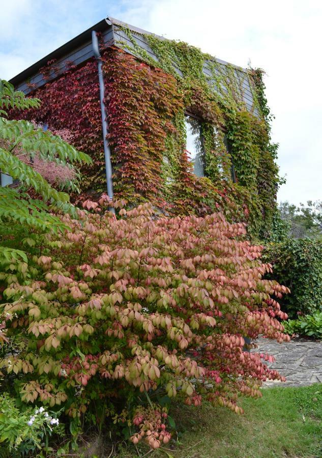 Jardin De Belle Vue Hotel Quimperlé Kültér fotó